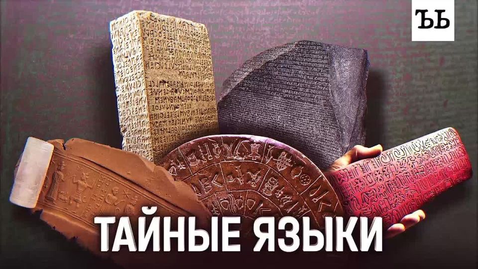 Некоторые книги человечество держит в руках уже сотни лет — и все еще не умеет их читать