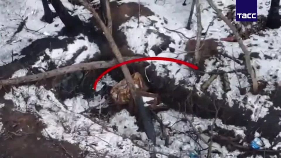 �� �� ���������� ��� ������ ���� � ��� ������ ����������� ��� � ��������������, �������� ���� � �� ��