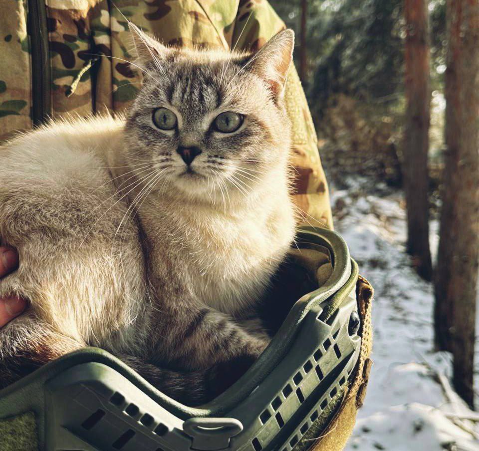 Моменты СВО. Будни фронта Моменты СВО. Будни фронта