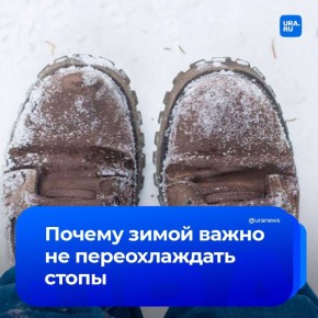 �������������� ���� ������ ���������� ���������� �� ���������