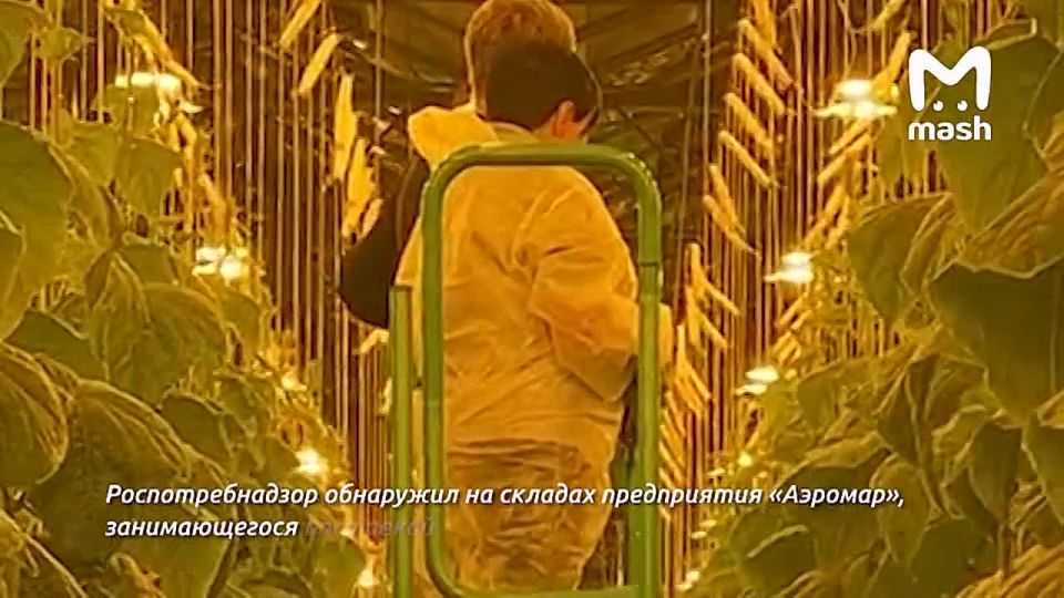 ������-������ ���������� � ��������� ������� � ������ �������� �� ������������ ��� ��� ���������� �������� "�������"