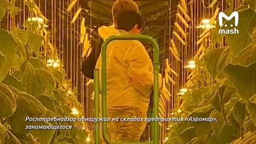 ������-������ ���������� � ��������� ������� � ������ �������� �� ������������ ��� ��� ���������� �������� "�������"