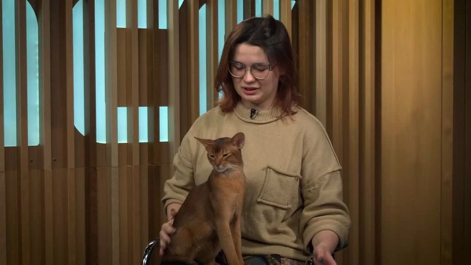 ������ ��������� � ���� ���� ����������� � ����