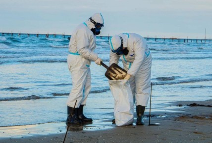 ���� ����� ������ �� ������������� ������� �������� ���������� ����������