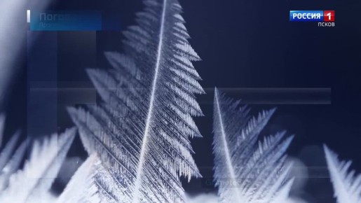 ������� ������ � ��������� ������� �� 15 ������