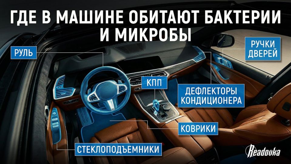 � ������������ �������� ����� ���� ������ �������� � ��������, ��� � ������ ������