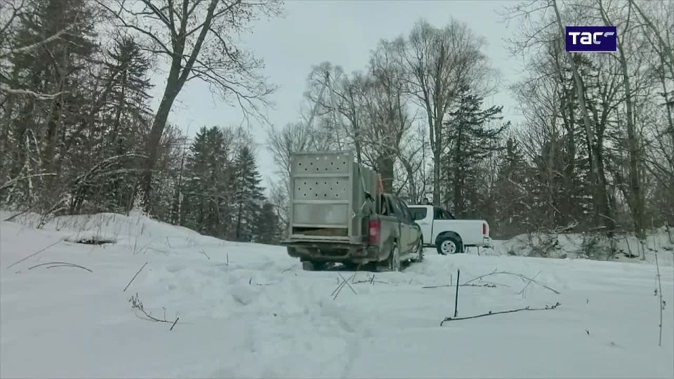 � �������� � ����� ������� ������� ��������� �����, �������� �������� �� ����� ���������� ����������