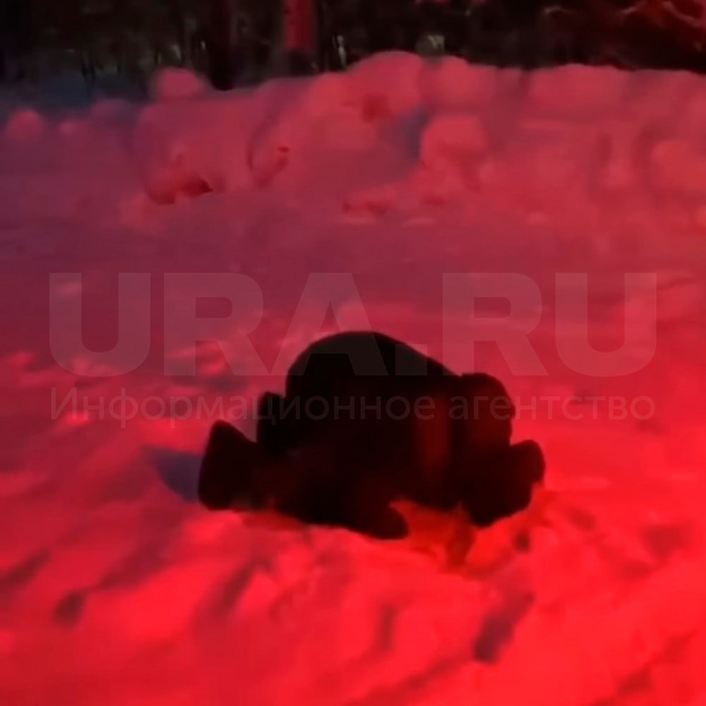 «Пусти в автобус людей. Почему так поступаешь?»: конфликтная ситуация в ХМАО «Пусти в автобус людей. Почему так поступаешь?»: конфликтная ситуация в ХМАО