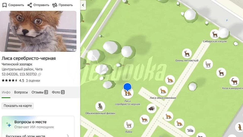 ������������ ���������� ���������� �������� ���������� � ����