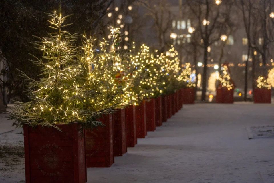 15 января в Псковской области ожидается переменная облачность, без существенных осадков