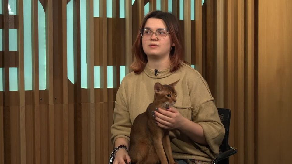 Кошки из РФ на международном конкурсе в Хорватии выступали под флагом страны