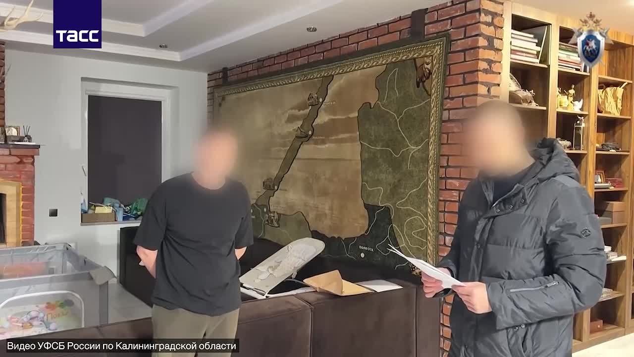 Ущерб в 12,7 млн рублей причинен нацпарку "Куршская коса" в результате вырубки леса, сообщили ТАСС в СК РФ