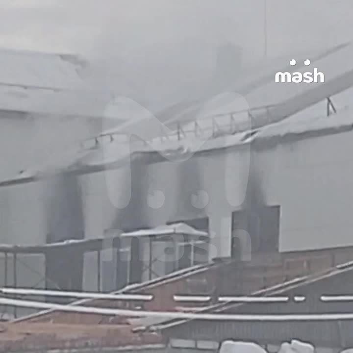 ����� ���� ����� �� ���� ������� ����� ������ �������������� ��� � ���������� � ��������������, ���������� ������������ �������