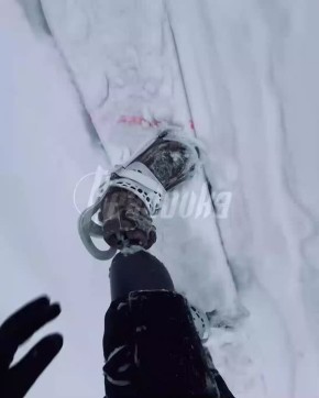 �����, ���������� ���� � ���� ���, �������, ��� �������� �������� �� ��������� � ��������