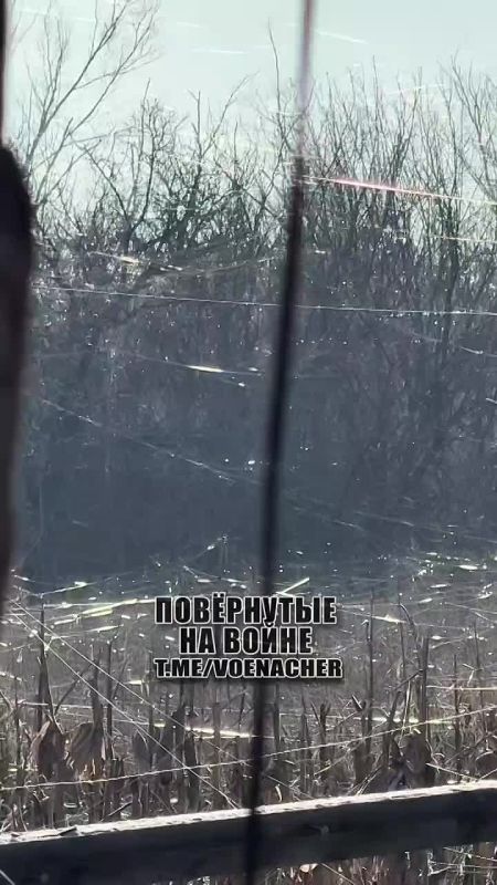 ����� �� ������� �����.. ����������� ����� �������� ���� � ����