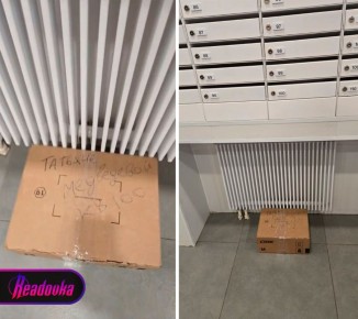 �������� �� �����, ��� ������� ����� �������-��������� ����� ��������, ����� �������� ������ � ���������� �������������� �������