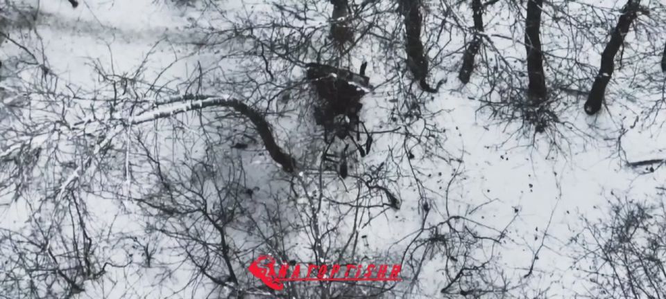 �������� FPV ����������� "�����" ���� ������� ����� ������� ���������� ������� ���� ���� "����-���" � ������ �.�. ��������� ����������� �������