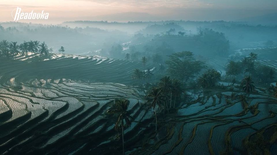 � ���������� ������������� ������� ������������ ��