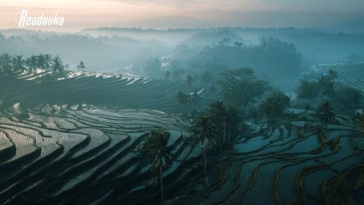 � ���������� ������������� ������� ������������ ��