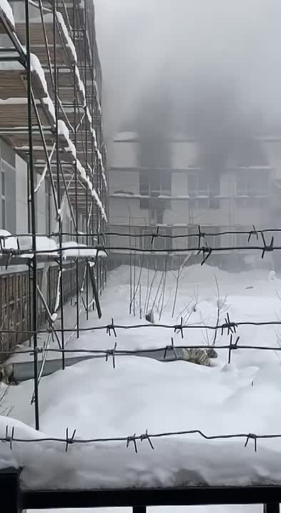 ����� ������������ ��� ������ ������������ ������� � ������ ��� � ���������� ������� �� 20, ������� ��