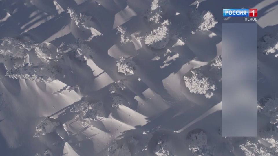 ������� ������ � ��������� ������� �� 17 ������