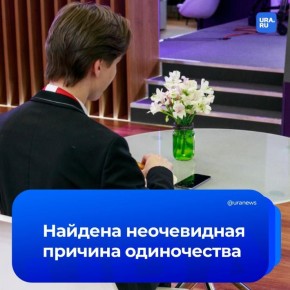 ���� � ������� IQ ���� ������� � ��������� � ����������