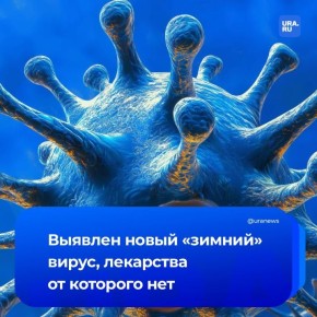 ������� ������������: ����������� ����� ���������������� �� ���