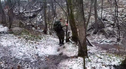 ����������� ����� � ������ ��������� ������� ������