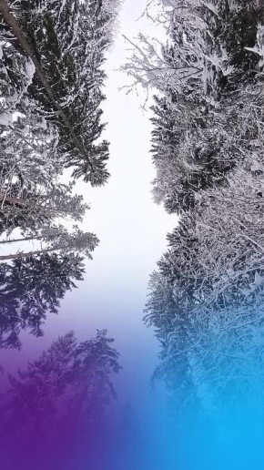 ����� 300 ������������ ����� ������� ������ � ���������� ������� �������