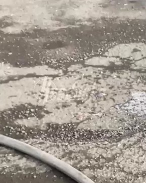 ��������������� �������� ������� ������� � ���������� � �������������� ���� � ���