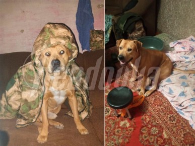 �� ����� � ���� �����, � ��� �������� ��� �����: ������� ���������� ��� ����