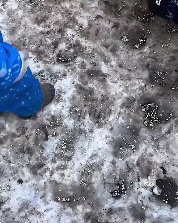 ������� ������ � �������� ������ �� ������ � ������� � ���������� �� ������ ������