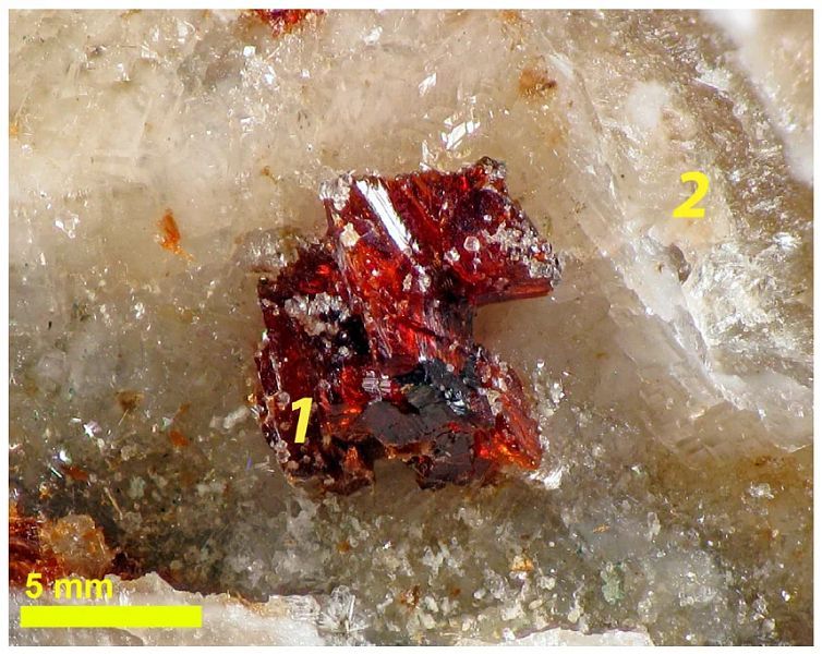 ������ ������� ������������� ������ ������� �������� ��� �������������� ������������� �������