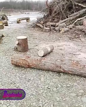 ������� �� ��������������� ���� �������� ������