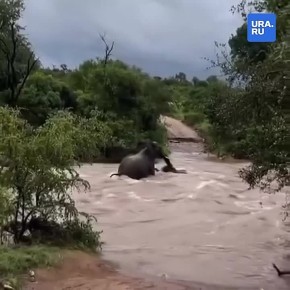 ������� �������� � ������ ����� ��������