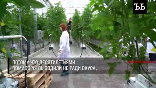 ������������ � ���� ����� ������� �������������, �������� ������� ����� ����� ��������� ��� ����, ����� ��� ���� �������� � �����, �� ������������, ������� �� �������������