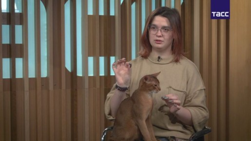 ������� ������ ��������� ���� � ���� ���������� � �������� ���� � ���, ��� �� ������� ������� ������� ���������