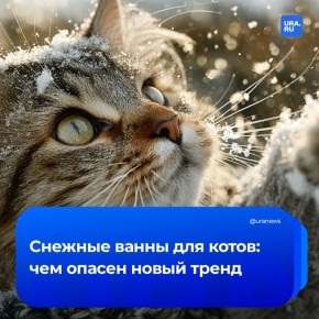 ������� ����� ������ ��� �����