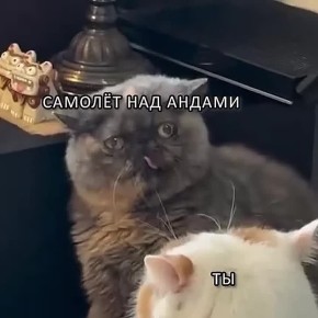 �������� ������� ����� ������������ ������������ � �� ��� ���� ����� ������ ������� � ���� ����