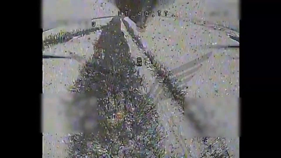 ��������������� �����������