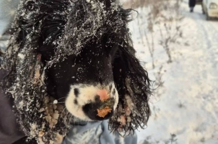 ����������� ��������� ������� ����������� ��������� �������� ������������������ ������� �� ����� ��������������� � ���� ��������� ���������� � ��������� ���-���������� ��������� �������� �� ����� 25 �������