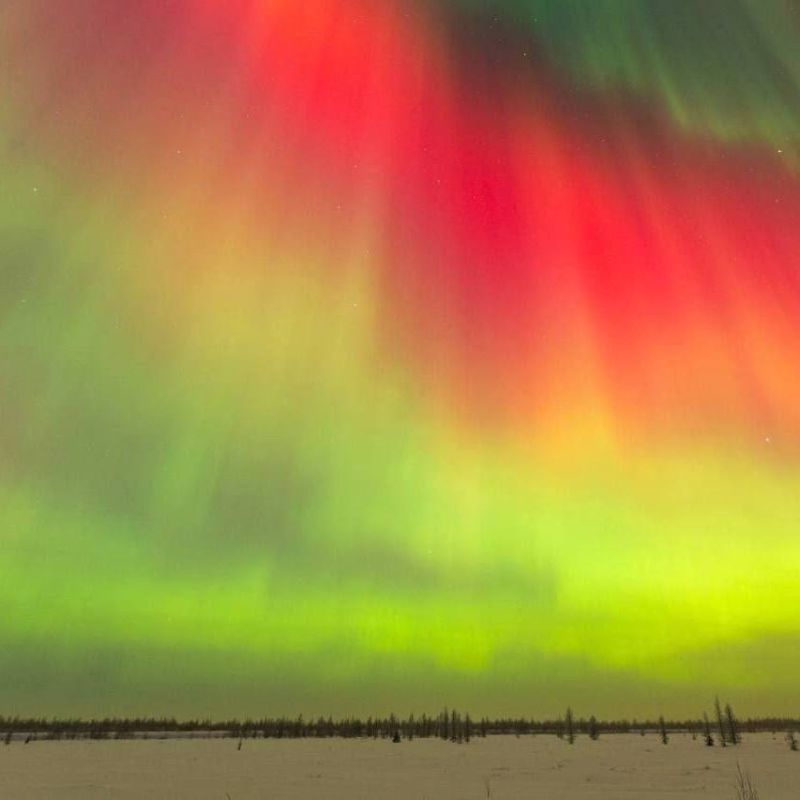 ����������� ������� �������� ������ ����������� � ������ ����� ��������� ��������� ����, ��������� ��������� � XXI ���� ������������ �������