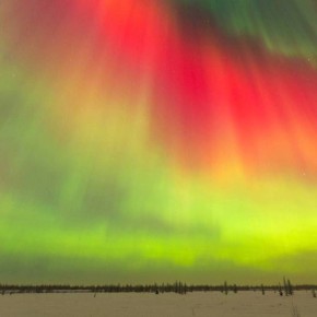 ����������� ������� �������� ������ ����������� � ������ ����� ��������� ��������� ����, ��������� ��������� � XXI ���� ������������ �������