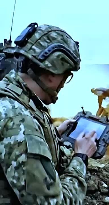 �������� ��������: ��� �� ������ �������� ������