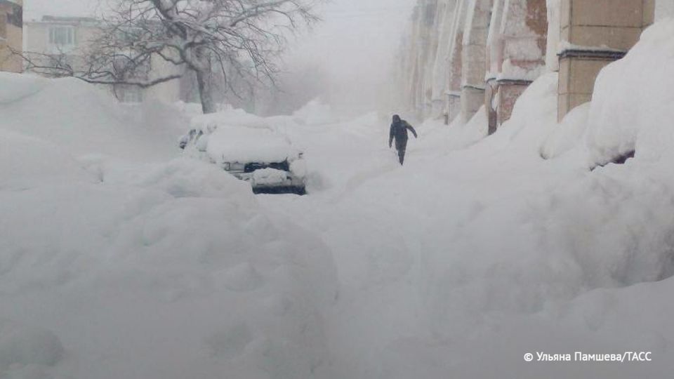 ������ �������� ��������� � ������������� ��� ���������� ����������� �������, ������� ���������� ������� � Telegram-������