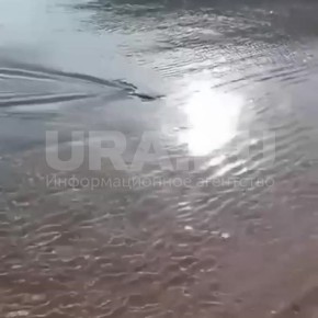 ���� ������ � ������� ������� ���� ����� ��-�� �����