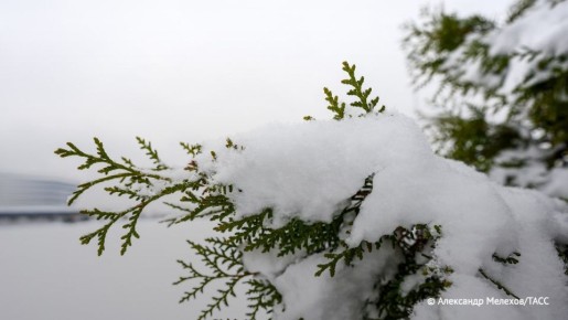 Резкое похолодание до -20 градусов ждет жителей Московского региона на неделе, сообщила синоптик Позднякова