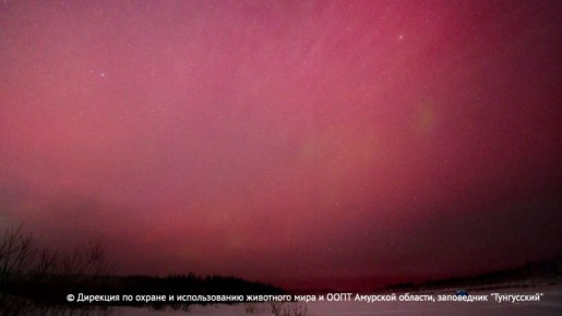 Жители РФ в ночь на 20 января наблюдали необычное полярное сияние "марсианского оттенка"