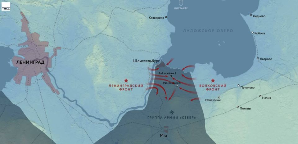 #������81. � ��������� ������� ������� ���������� � ���� �������� ������ ���� ��������� � ����������� ����������� ����������� ������� �����, ����������� �� ���� ���������� �����