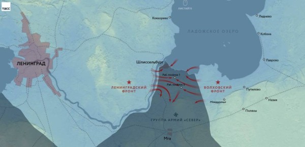 #������81. � ��������� ������� ������� ���������� � ���� �������� ������ ���� ��������� � ����������� ����������� ����������� ������� �����, ����������� �� ���� ���������� �����